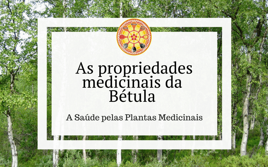 As propriedades medicinais da Bétula