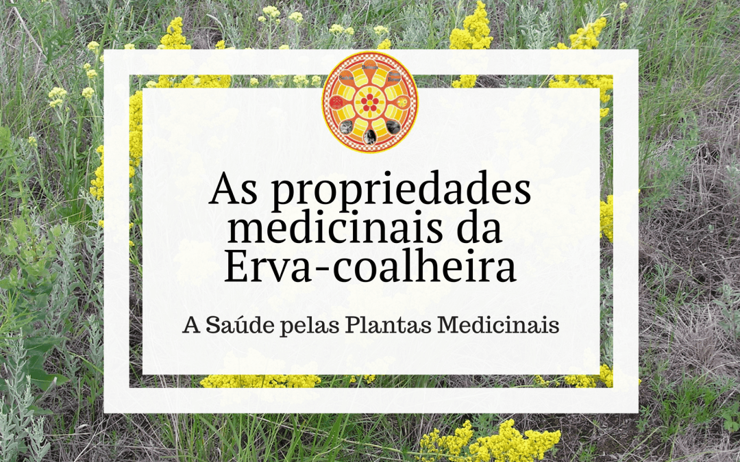 As propriedades medicinais da Erva-coalheira
