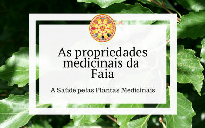 As propriedades medicinais da Faia
