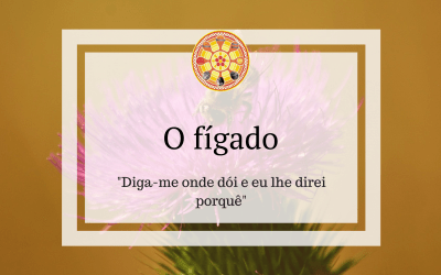 Vitamina B-2 (Riboflavina)