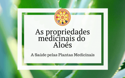As propriedades medicinais do Aloés
