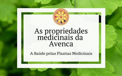 As propriedades medicinais da Avenca