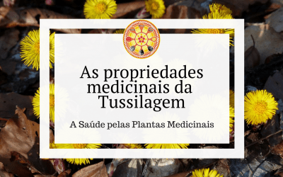 As propriedades medicinais da Tussilagem