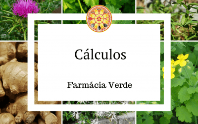 Cálculos biliares e renais – Farmácia Verde