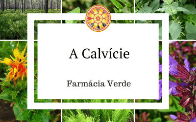 Calvície – Tratamento com a farmácia verde