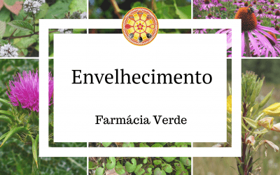 Envelhecimento – Farmácia Verde