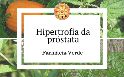 Hipertrofia da Próstata – Farmácia verde