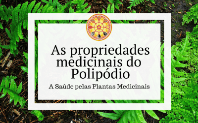 As propriedades medicinais do Polipódio