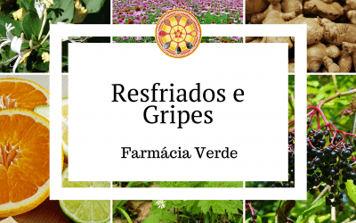 Resfriados e Gripes – Farmácia Verde