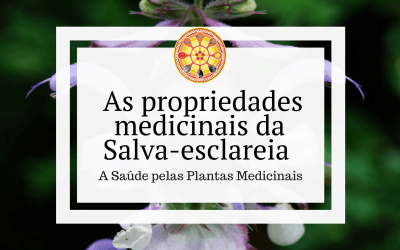 As propriedades medicinais da Salva-esclareia