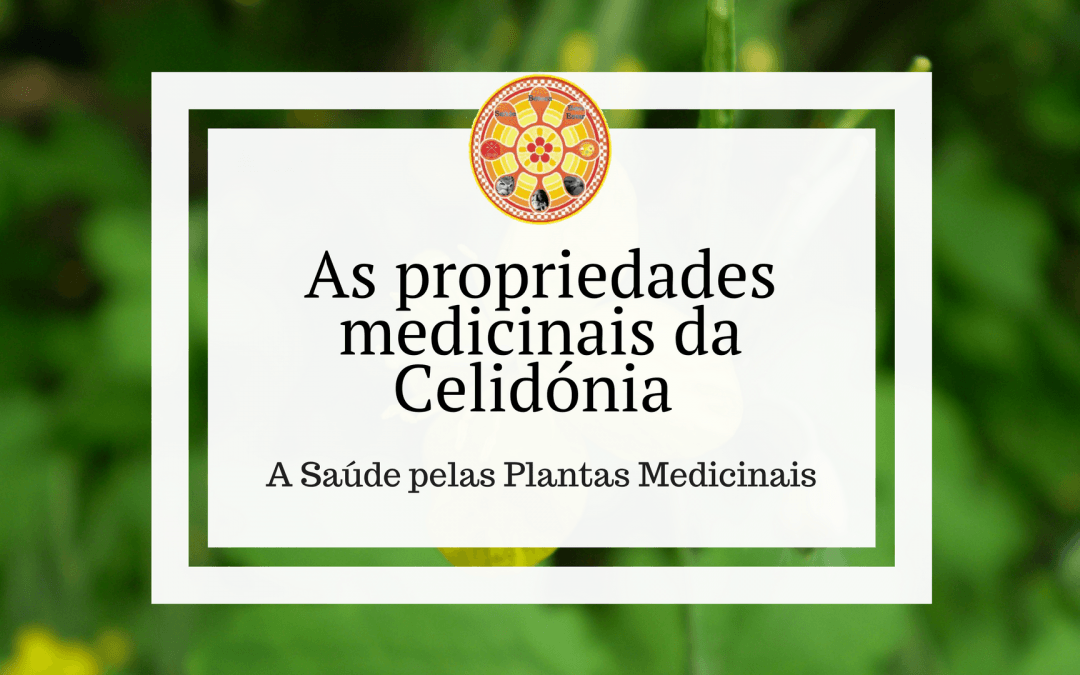 As propriedades medicinais da Celidónia