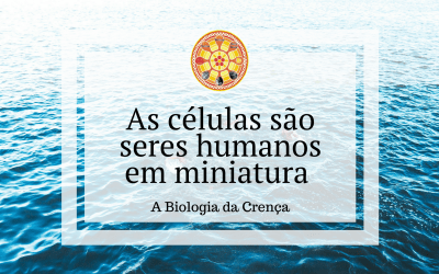 As células são seres humanos em miniatura