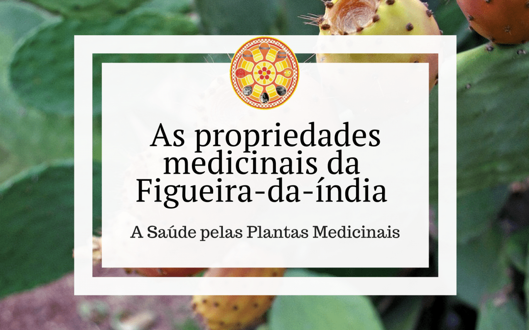 As propriedades medicinais da Figueira-da-índia