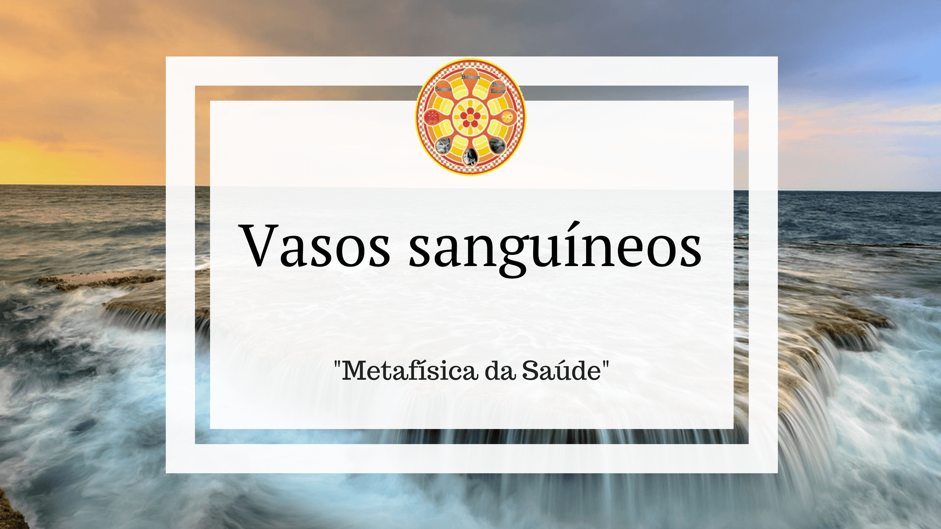 vasos sanguíneos