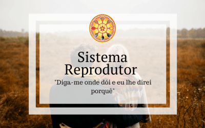 O Sistema Reprodutor