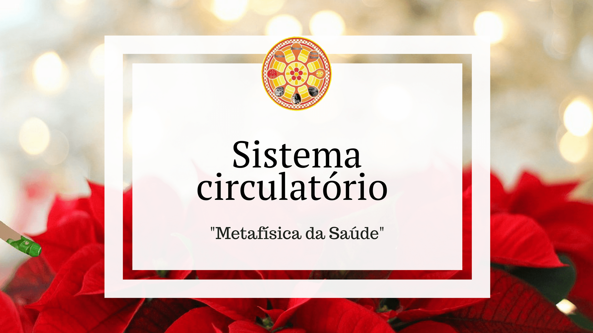 Sistema circulatório