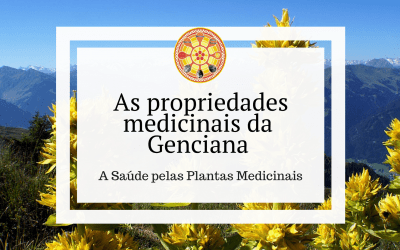 As propriedades medicinais da Genciana