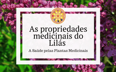 As propriedades medicinais do Lilás