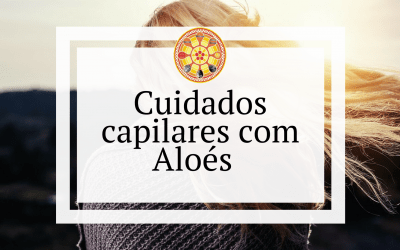 Cuidados capilares com Aloés