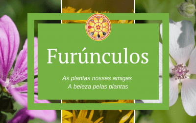 Vitamina B-13 (ácido orótico)