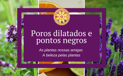 Vitamina B-15 (ácido pangâmico)