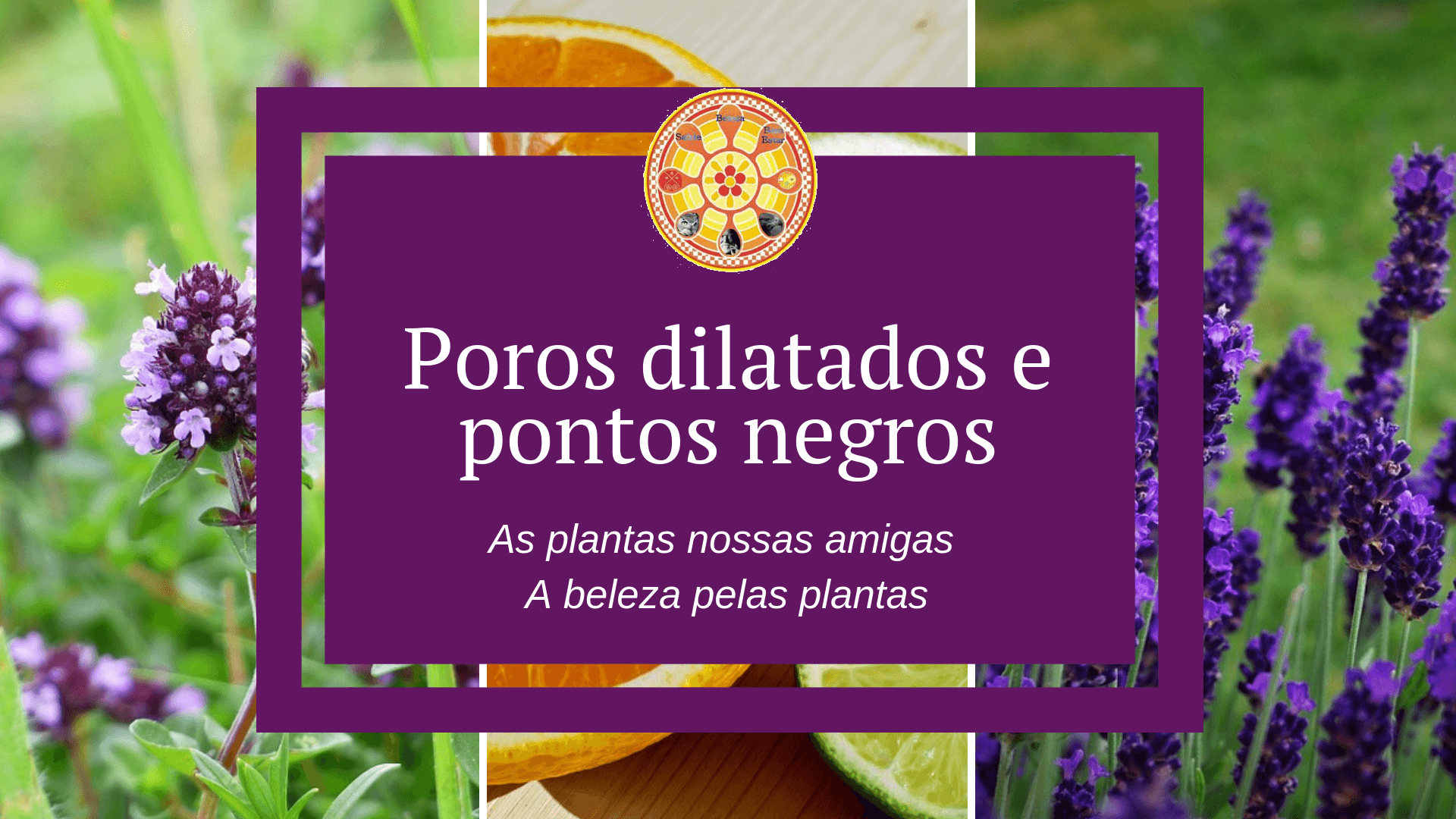 pontos negros