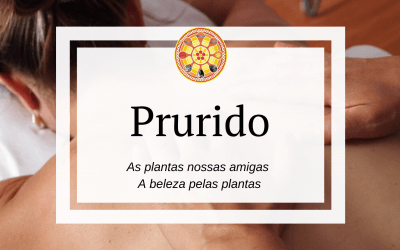 Prurido – As plantas nossas amigas