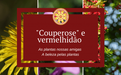 «Couperose» e vermelhidão – As plantas nossas amigas
