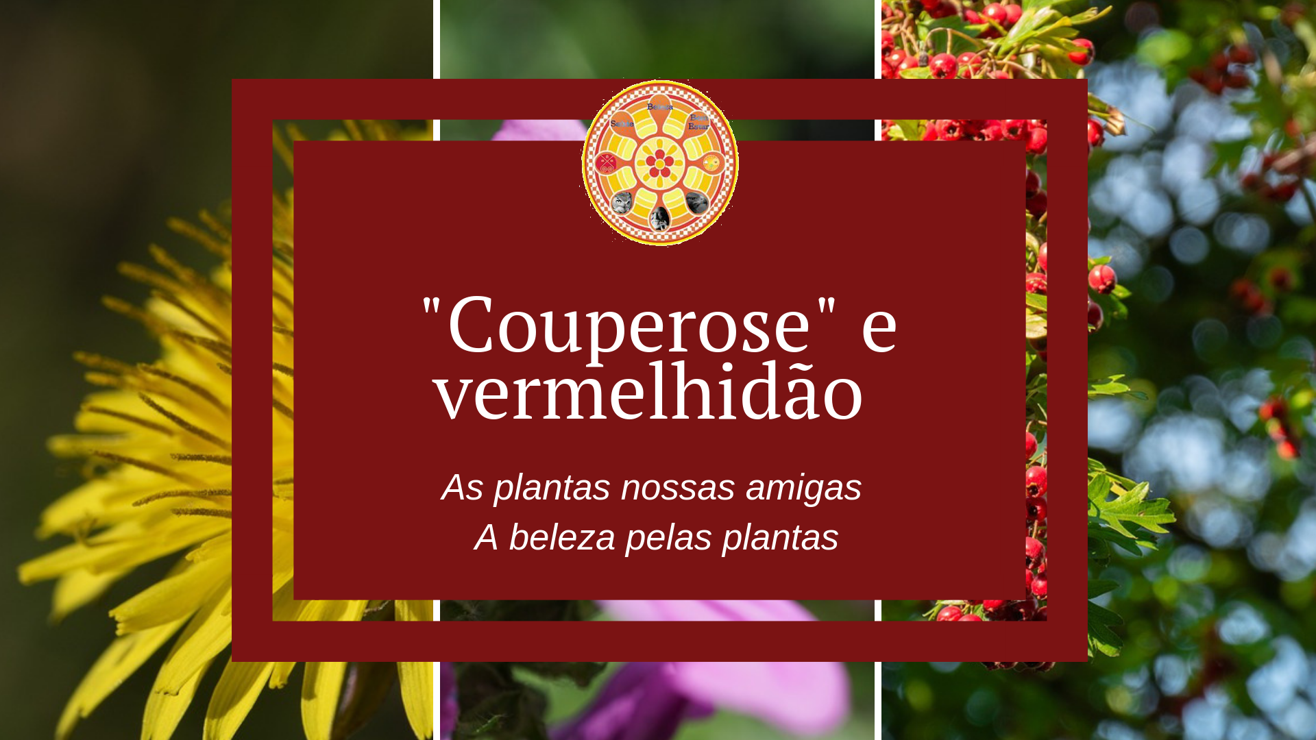«Couperose» e vermelhidão