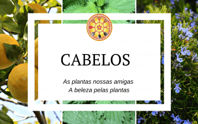 Cabelos – As plantas nossas amigas