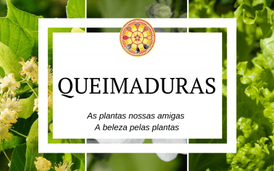 As queimaduras – As plantas nossas amigas