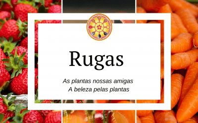 Rugas – As plantas nossas amigas