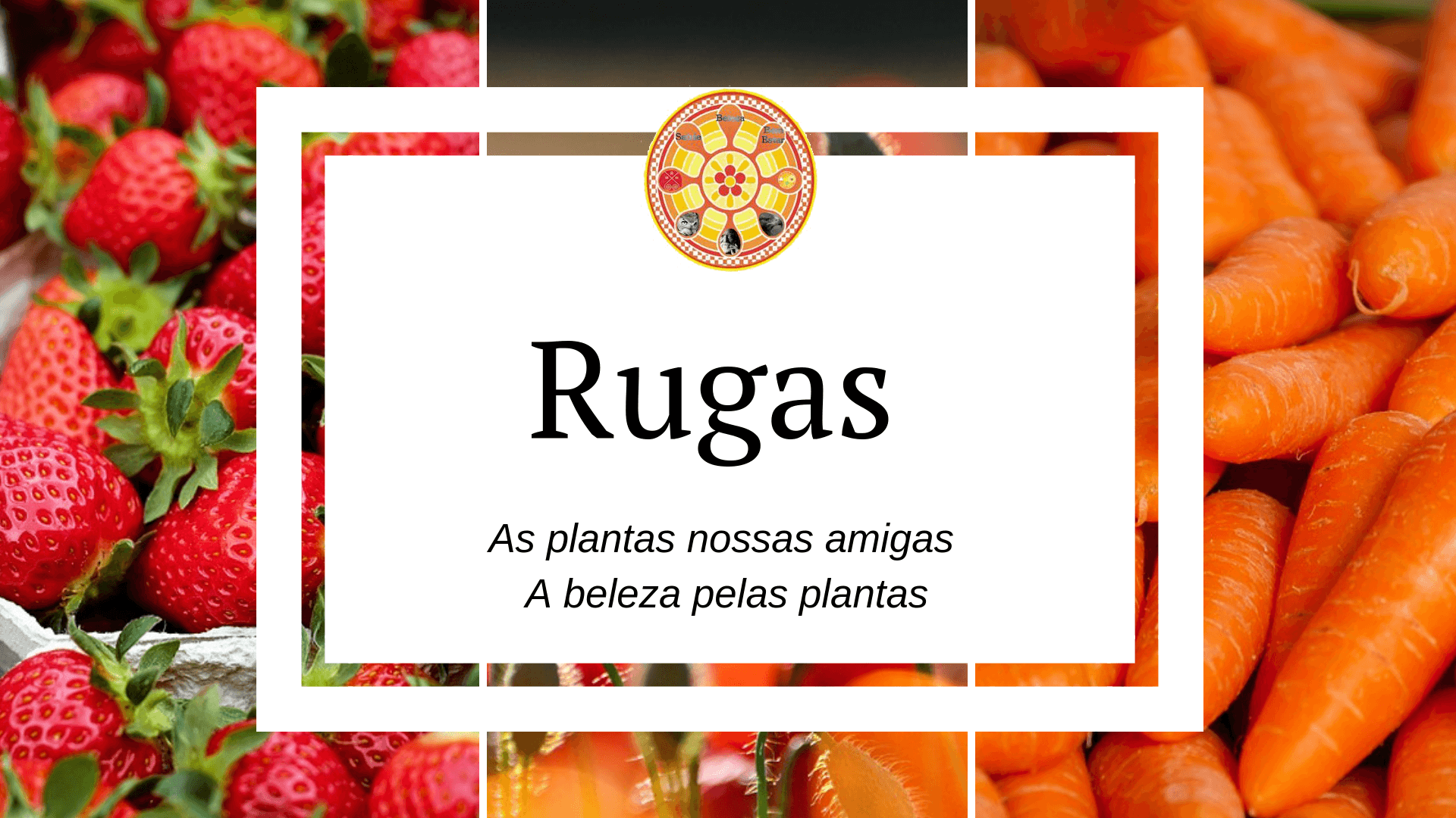 rugas