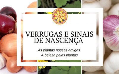 Verrugas e sinais de nascença – As plantas nossas amigas