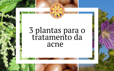3 plantas para o tratamento da acne