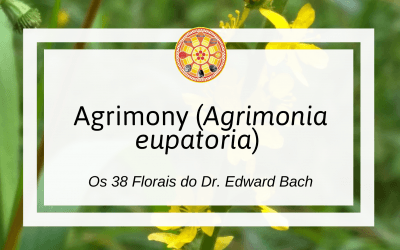 Agrimony – Florais de Bach
