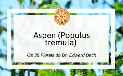 Aspen – Florais de Bach