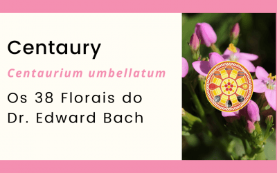 Centaury – Florais de Bach