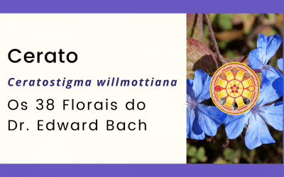 Cerato – Florais de Bach