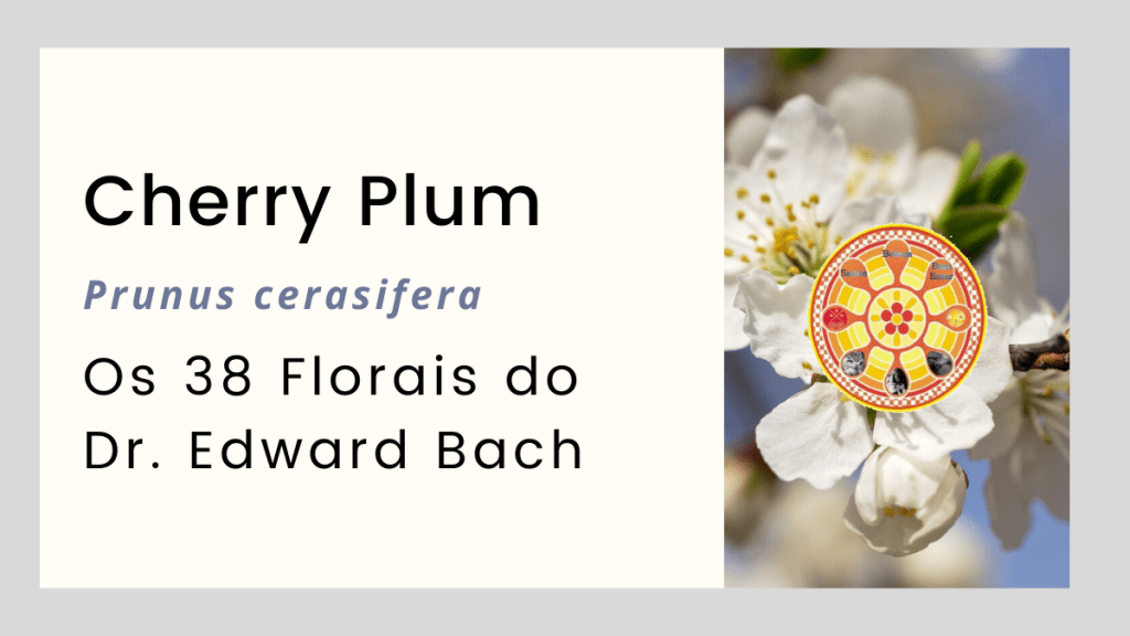 cherry plum