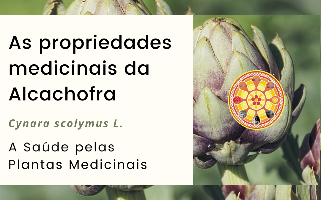 As propriedades medicinais da Alcachofra